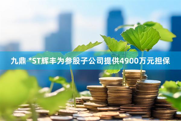 九鼎 *ST辉丰为参股子公司提供4900万元担保