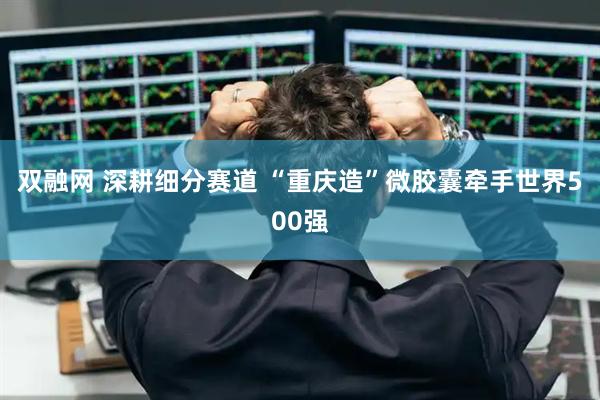 双融网 深耕细分赛道 “重庆造”微胶囊牵手世界500强