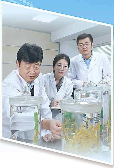 牛盈宝 一粒新型复合肥的田间突围（科技视点·看科技成果如何“变身”新质生产力）