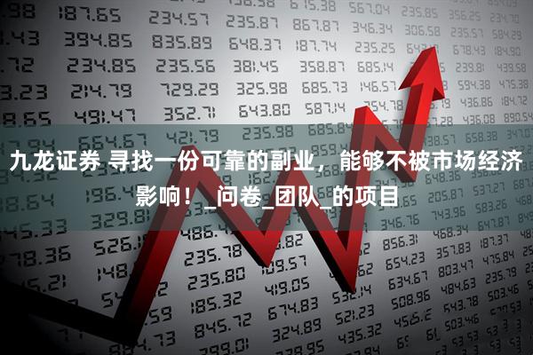 九龙证券 寻找一份可靠的副业，能够不被市场经济影响！_问卷_团队_的项目