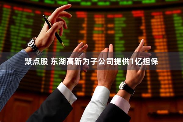 聚点股 东湖高新为子公司提供1亿担保
